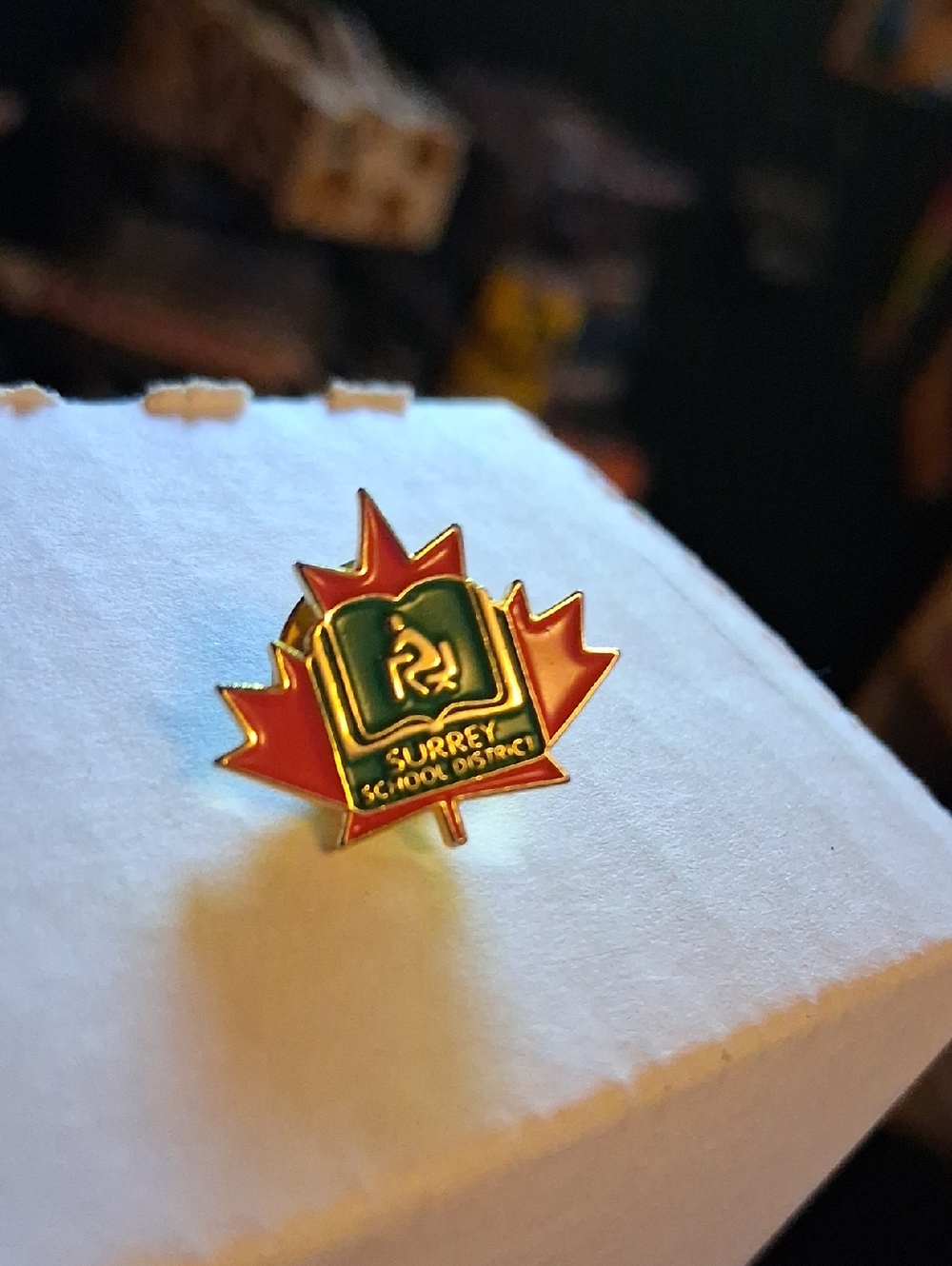 Enamel Maple Leaf Pin with Green School Emblem - Picture 2 of 7